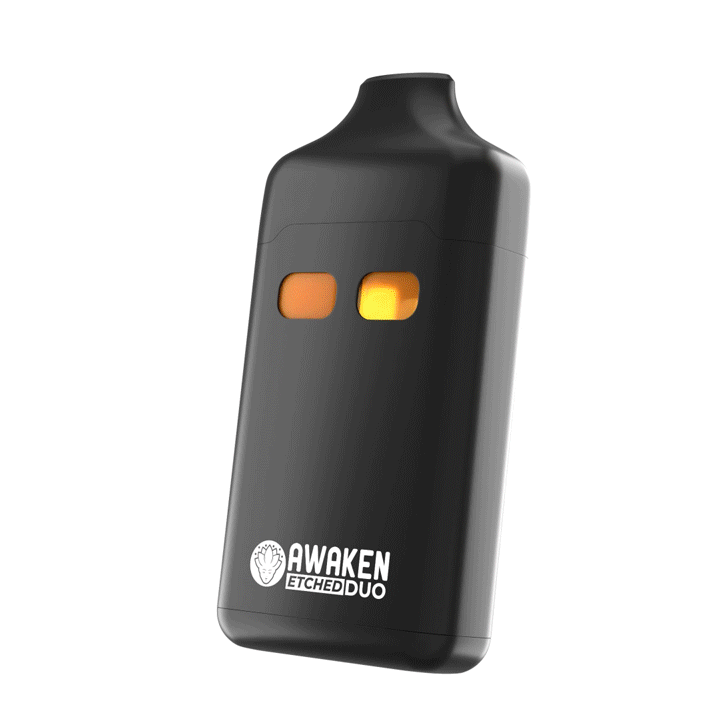 Amnesia Mountain6.gif