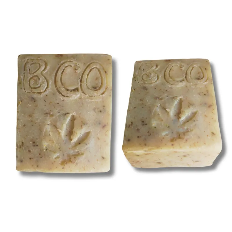 BCO 2.webp